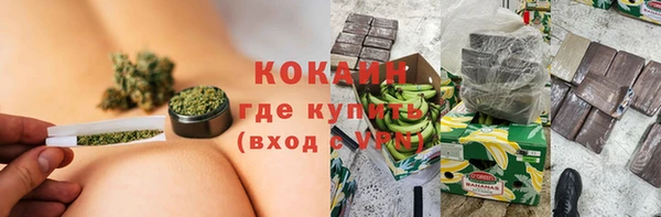 Альфа ПВП Лагань