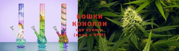 Альфа ПВП Лагань