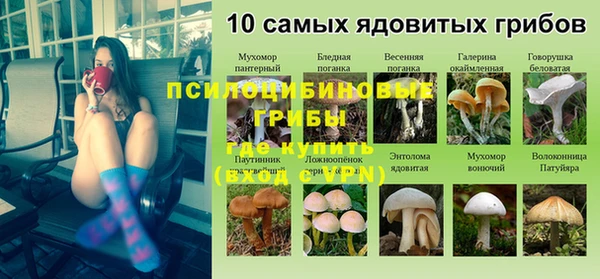 прущие крисы Лабытнанги