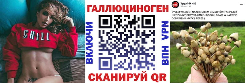 наркота  Красноармейск  blacksprut tor  Галлюциногенные грибы Psilocybe 