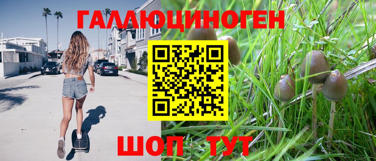 Галлюциногенные грибы ЛСД  Красноармейск 